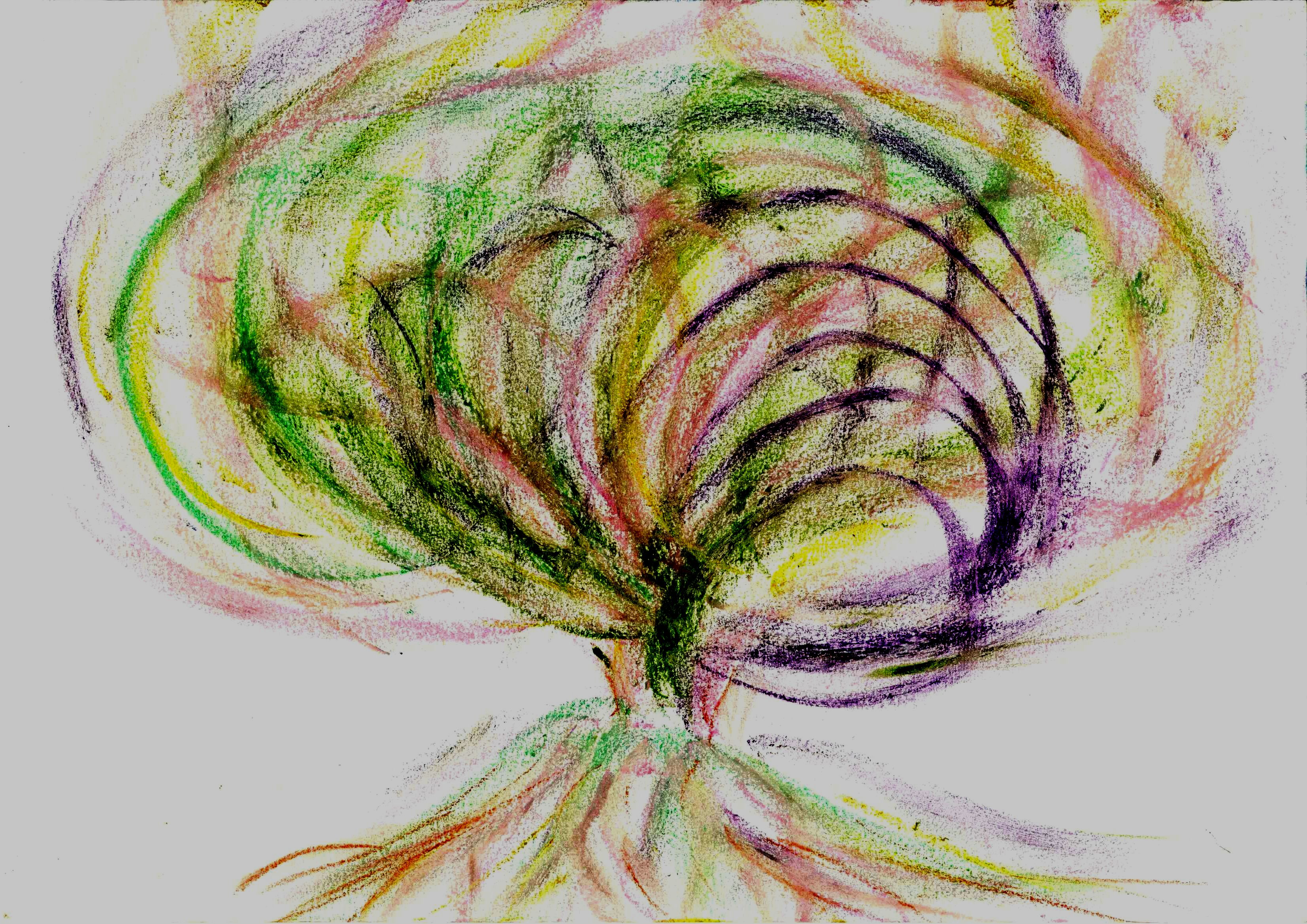 energie arbre